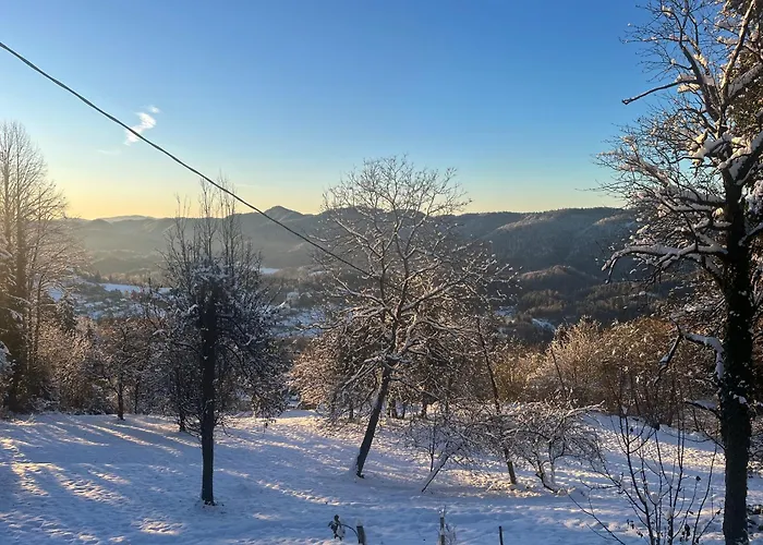 Pr šemnič Lejlighed Kamnik